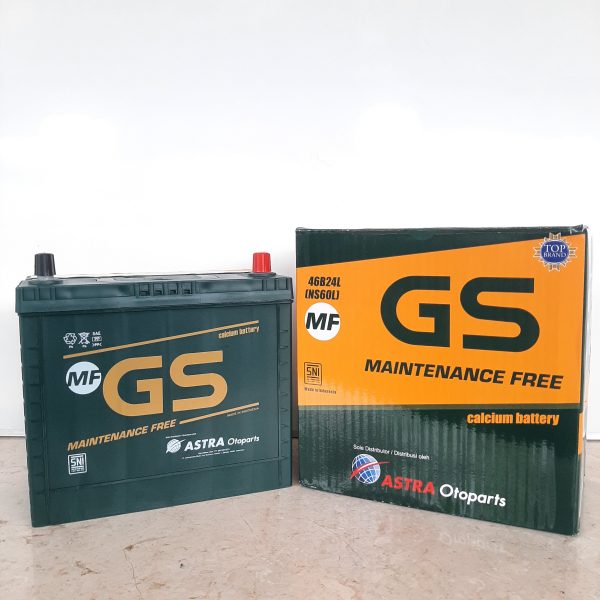 GS Maintenance Free