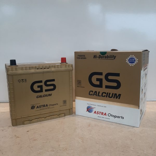 GS Calcium
