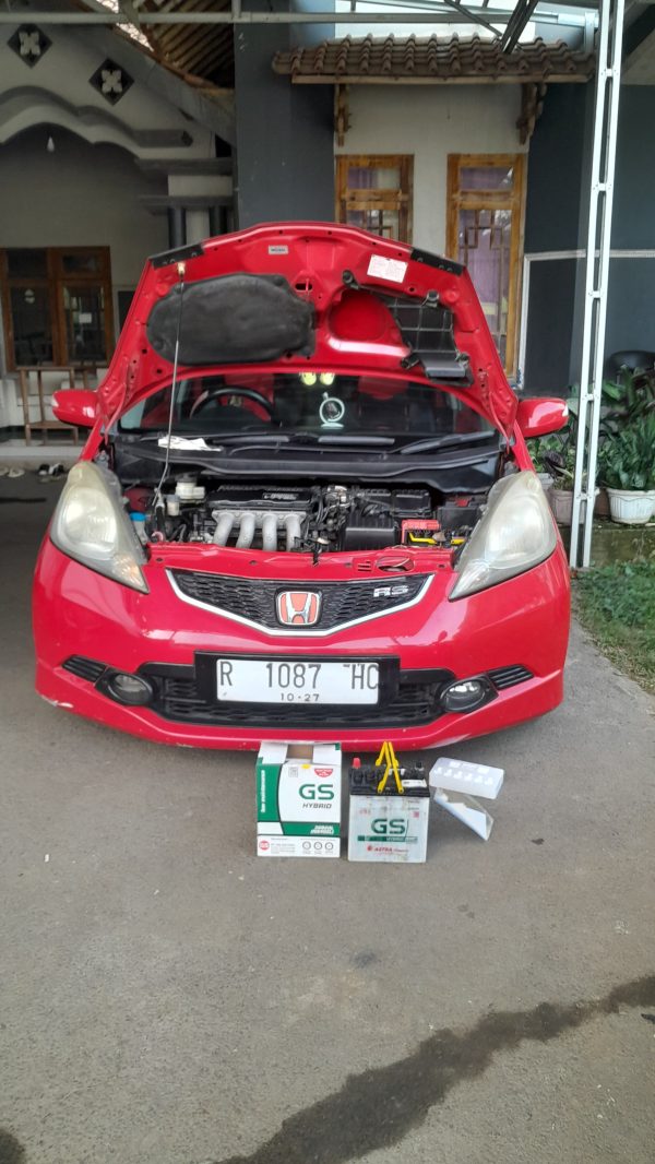 GS Hybrid - Image 2